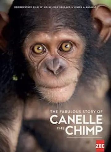 LA FABULEUSE HISTOIRE DU SINGE CANELLE