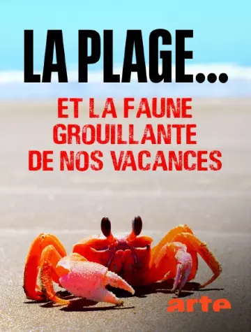 La plage... - Et la faune grouillante de nos vacances