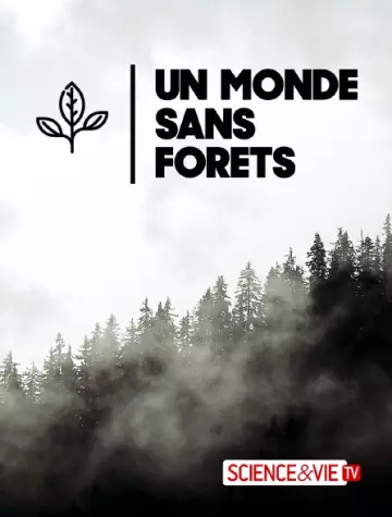 Un monde sans forets