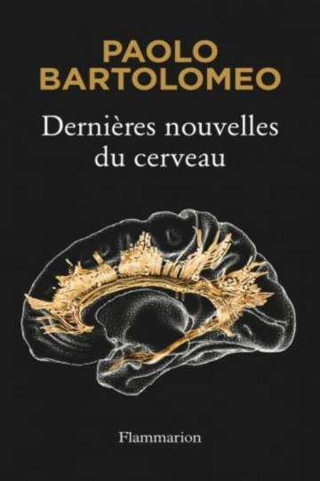 Dernières nouvelles du cerveau  [Livres]