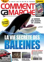 Comment Ça Marche N°56 – La Vie Secrète Des Baleines  [Magazines]