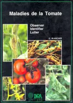 Maladies de la tomate  [Livres]