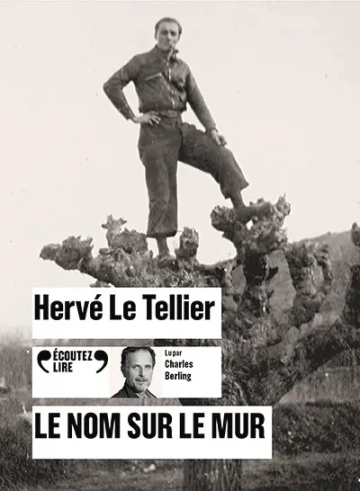 Le nom sur le mur Hervé Le Tellier  [AudioBooks]