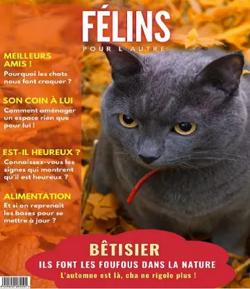 Félins Pour L’autre N°15 – Octobre 2022  [Magazines]