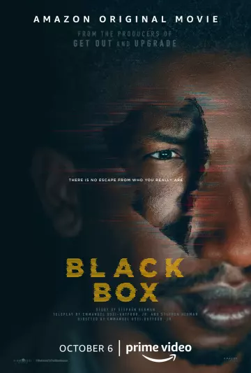 Black Box  [WEB-DL 1080p] - MULTI (FRENCH)