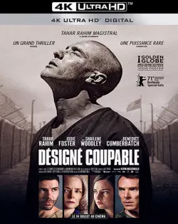 Désigné Coupable  [WEB-DL 4K] - MULTI (TRUEFRENCH)