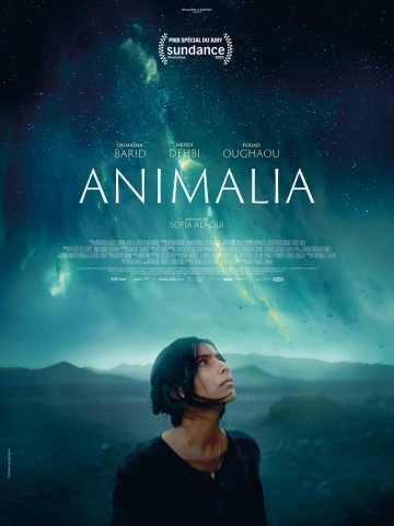 Animalia  [HDRIP] - VOSTFR