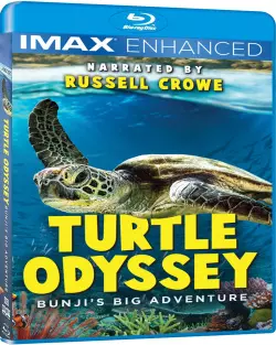 Turtle Odyssey  [BLU-RAY 720p] - FRENCH