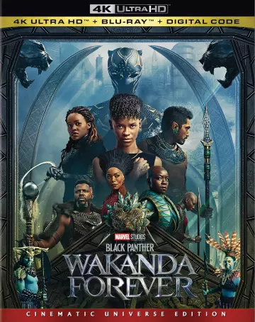 Black Panther : Wakanda Forever [BLURAY REMUX 4K] - MULTI (TRUEFRENCH)