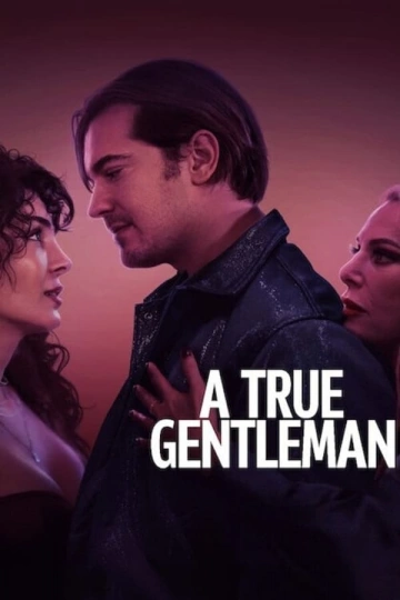 Un Parfait Gentleman  [WEBRIP] - FRENCH