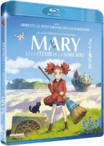 Mary et la fleur de la sorcière  [BLU-RAY 720p] - FRENCH