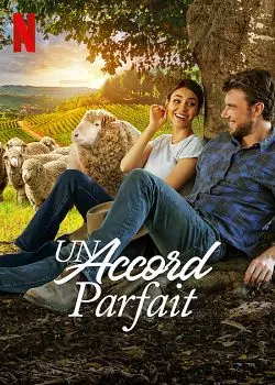 Un accord parfait  [WEB-DL 720p] - FRENCH