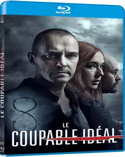 Le Coupable idéal  [BLU-RAY 1080p] - MULTI (FRENCH)