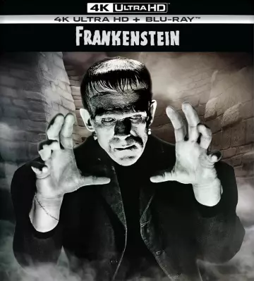 Frankenstein  [4K LIGHT] - MULTI (FRENCH)