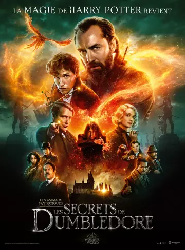 Les Animaux Fantastiques : les Secrets de Dumbledore [WEB-DL 1080p] - MULTI (TRUEFRENCH)