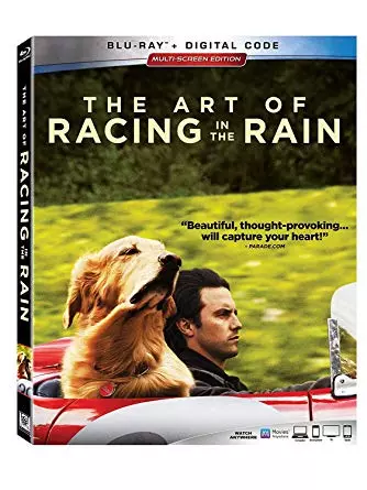 The Art of Racing in the Rain  [HDLIGHT 1080p] - MULTI (FRENCH)