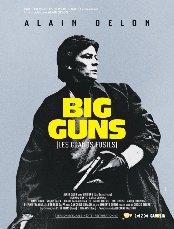 Big Guns - Les Grands fusils  [WEB-DL 1080p] - MULTI (FRENCH)