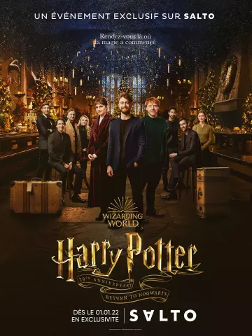 Harry Potter : Retour à Poudlard [WEB-DL 1080p] - MULTI (FRENCH)