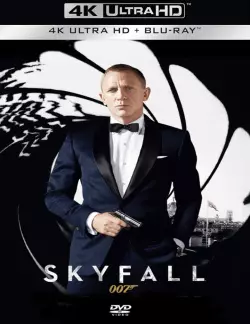 Skyfall  [BLURAY REMUX 4K] - MULTI (TRUEFRENCH)