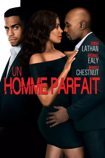 Un Homme Parfait [BLU-RAY 1080p] - MULTI (FRENCH)