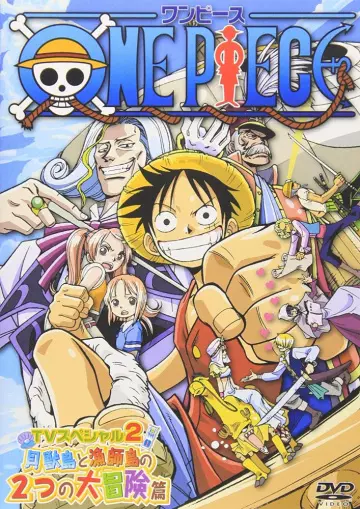 One Piece SP 3 : Protégeons-la ! La dernière grande scène  [DVDRIP] - VOSTFR