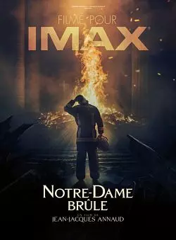 Notre-Dame brûle  [BDRIP] - FRENCH