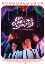 Les Garçons sauvages  [WEB-DL 720p] - FRENCH