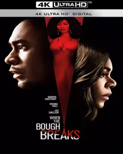 When The Bough Breaks  [WEB-DL 4K] - MULTI (FRENCH)