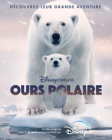 Ours Polaire  [HDRIP] - FRENCH