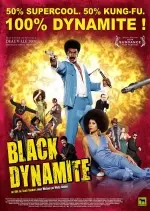 Black Dynamite  [BDRIP] - VOSTFR