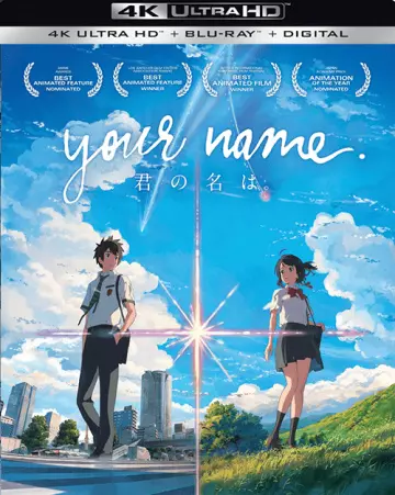 Your Name  [4K LIGHT] - MULTI (FRENCH)