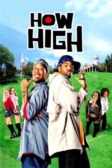 How High  [DVDRIP] - MULTI (TRUEFRENCH)