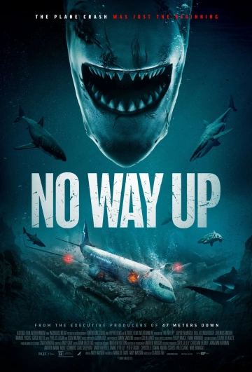 No Way Up  [HDRIP] - VOSTFR