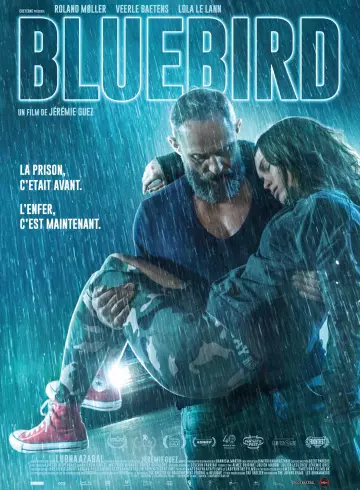 Bluebird [BDRIP] - FRENCH