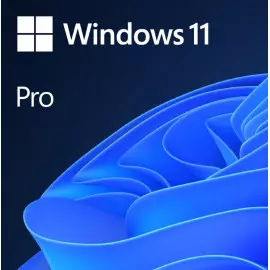 MICROSOFT WINDOWS 11 PRO V10.0.22000.318