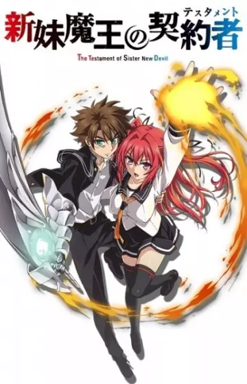 The Testament of Sister New Devil OAV - vostfr