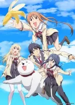 Aho Girl - Saison 1 - vostfr