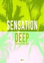 Sensation Deep Vol 9 (Groovy Deep House Tunes) 2017  [Albums]